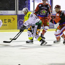 IMGL4654.jpg