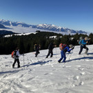 IMG_8507.jpg