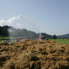27082009strohff_11.jpg