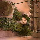 p42312-Foto2.jpg