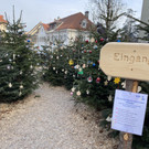 hohenems _17_.jpg