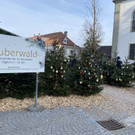 hohenems _9_.jpg