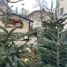 hohenems _3_.jpg