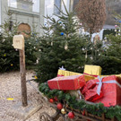 hohenems _6_.jpg