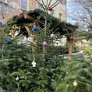 hohenems _10_.jpg