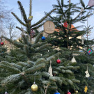 hohenems _20_.jpg