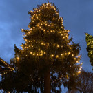 christbaumkollmann _7_.jpg