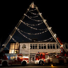Feuerwehrtanne Hard