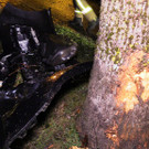 furt7.jpg