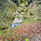 image00018.jpg