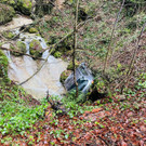 image00025.jpeg