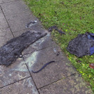 211228_BrandBregenz_shourot034.JPG