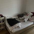 evelinaundaleksandar _14_.jpg