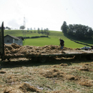 normal_27082009strohff_23.jpg