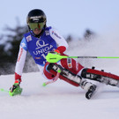 Austria_Alpine_Skiing_World_Cup_45752.jpg