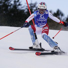 Austria_Alpine_Skiing_World_Cup_66491.jpg