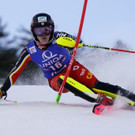 Austria_Alpine_Skiing_World_Cup_77268.jpg