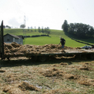 normal_27082009strohff_24.jpg