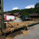 normal_27082009strohff_32.jpg