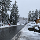 neuschnee _13_.jpg