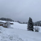 neuschnee _11_.jpg