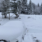 neuschnee _15_.jpg