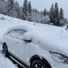 neuschnee _1_.jpg