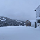 neuschnee _2_.jpg