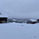 neuschnee _4_.jpg