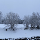 neuschnee _5_.jpg