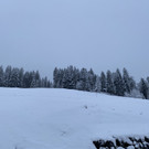 neuschnee _7_.jpg