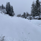 neuschnee _8_.jpg