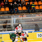 file7j71xssmdsjz6vjk6zt.jpg