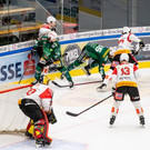 file7j71xsvhrko14ppcdln8.jpg
