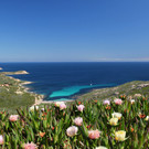 Korsika_Edgar Eberle _13_.JPG