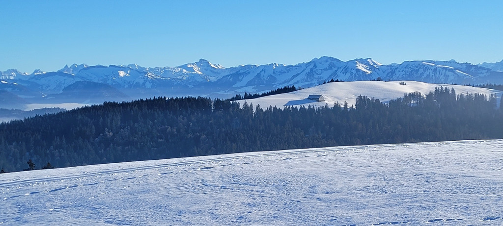 Moosegg GH Mayr Basisfasten C Symbolfotos Umgebung 08-01-2022 _12_.jpg