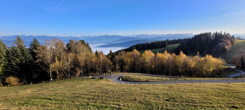 Moosegg GH Mayr Basisfasten C Symbolfotos Umgebung 08-01-2022 _3_.jpg