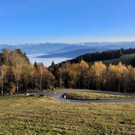 Moosegg GH Mayr Basisfasten C Symbolfotos Umgebung 08-01-2022 _3_.jpg