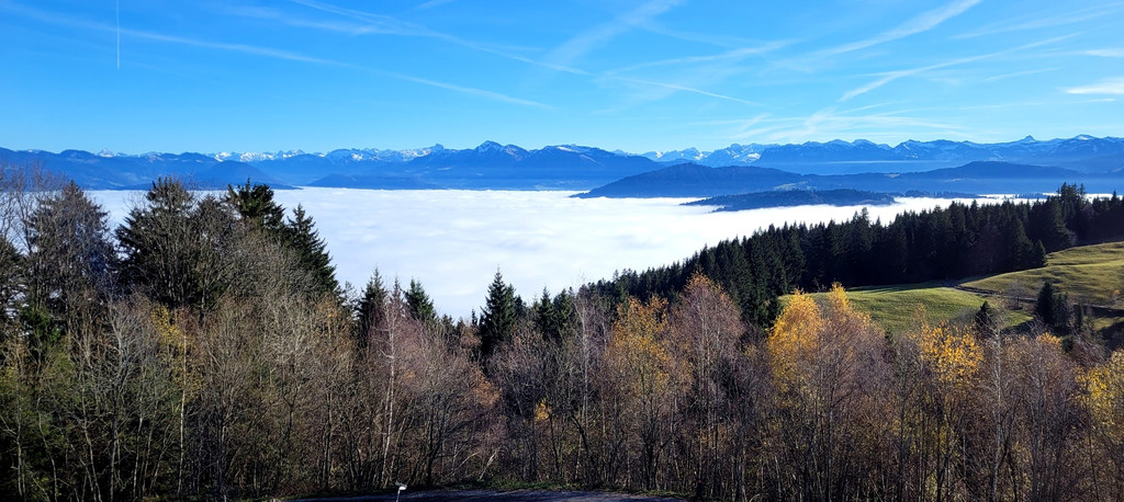 Moosegg GH Mayr Basisfasten C Symbolfotos Umgebung 08-01-2022 _8_.jpg