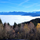 Moosegg GH Mayr Basisfasten C Symbolfotos Umgebung 08-01-2022 _8_.jpg