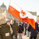 Vienna_at-50.JPG