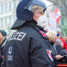 Vienna_at-85.JPG