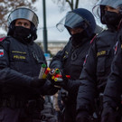 Vienna_at-120.JPG