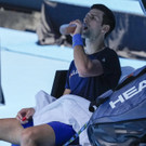 Australian_Open_Djokovic_08673.jpg