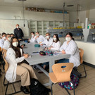 Schulwahl in Pandemiezeiten 