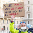 Vienna_at-55.JPG