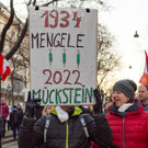 Vienna_at-60.JPG