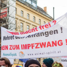 Vienna_at-68.JPG