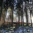 03_ Seniorenbund Sonnenweg.jpeg