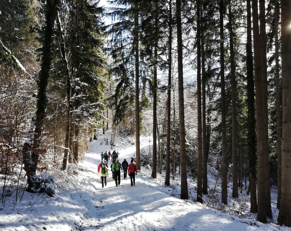 05_ Seniorenbund Sonnenweg.jpeg